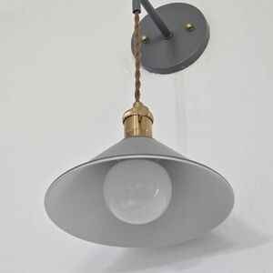 Gray and Gold Pendant Light